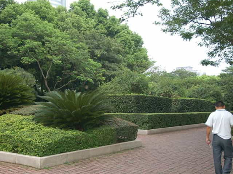 市政綠化養護服務(wù)