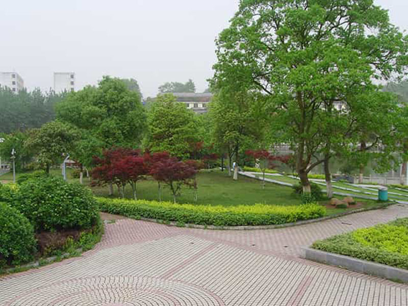 專(zhuān)業(yè)綠化養護